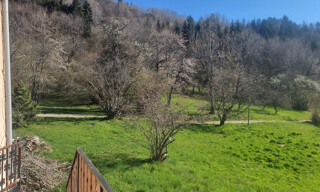 Photo N° 3
