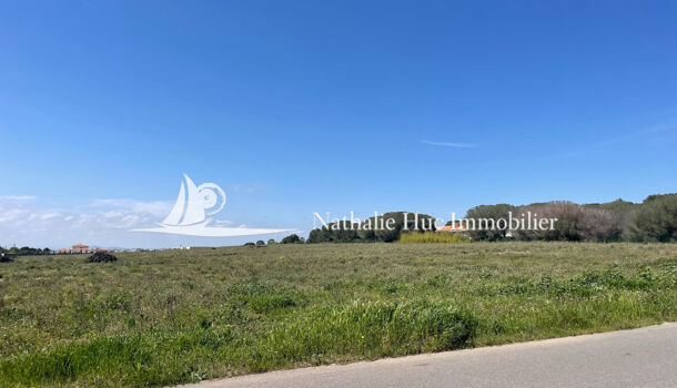 Terrain  à vendre Perpignan 66000