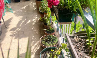 Appartement 4 Pièces 91 m² à vendre à Le Cannet (06110)