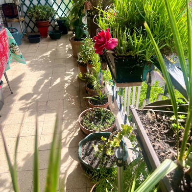 Appartement 4 pièces 319999 €