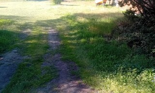 Photo N° 3