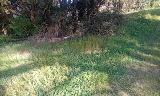 Photo N° 4