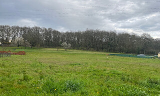Photo N° 5