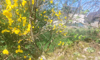 Terrain  422 m² à vendre à Loguivy-Plougras (22780)