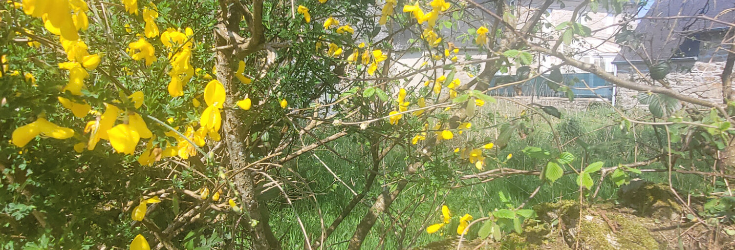 Terrain  422 m² à vendre à Loguivy-Plougras (22780)