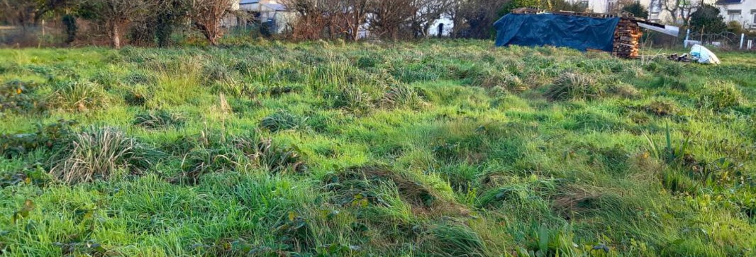 Terrain  1040 m² à vendre à Landudec (29710)