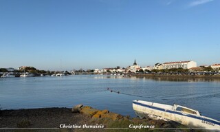 Photo N° 13
