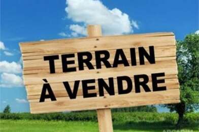 Terrain  315000 €
