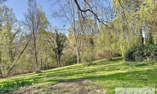 Photo N° 4