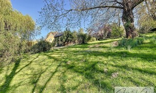 Photo N° 5