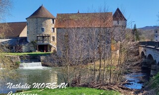 Photo N° 3