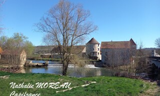 Photo N° 7