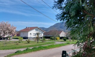 Photo N° 17