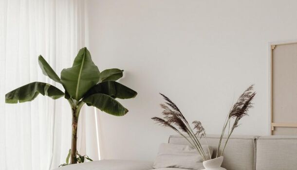 Villa / Maison 4 pièces  à vendre Toulouse 31100