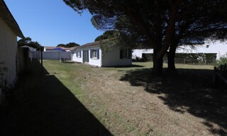 Photo N° 3