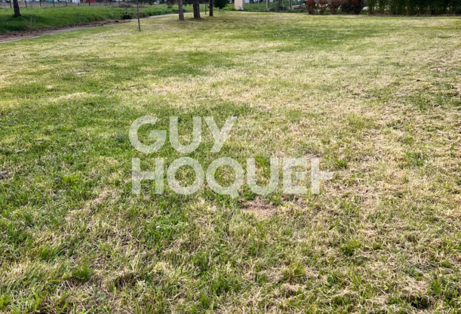 Terrain — photo 1