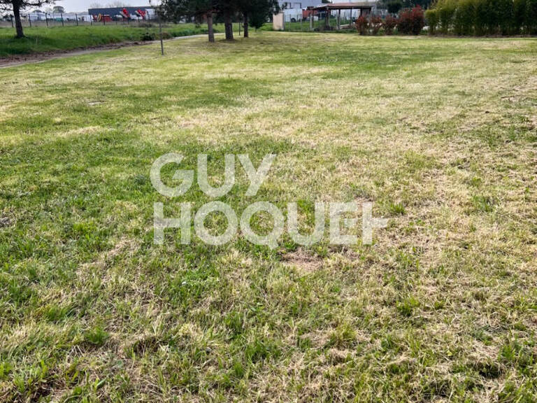 Terrain — photo 1