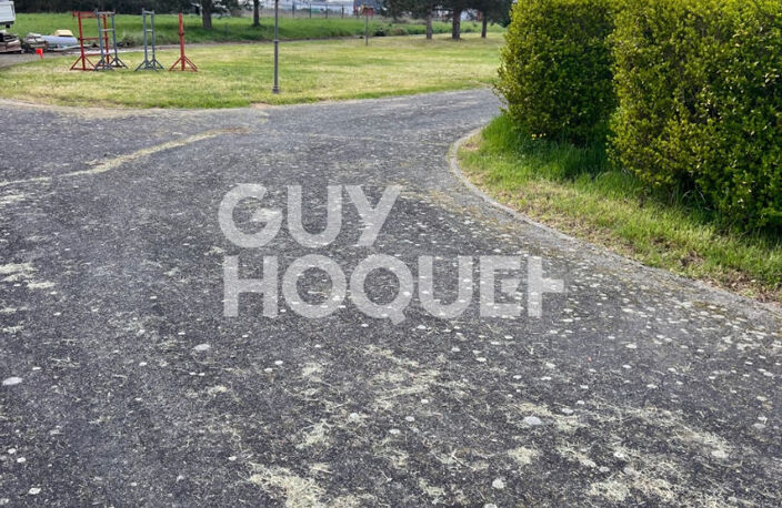 Terrain — photo 2