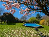 Maison lumineuse avec piscine et sous-sol complet – Henrichemont — photo 3