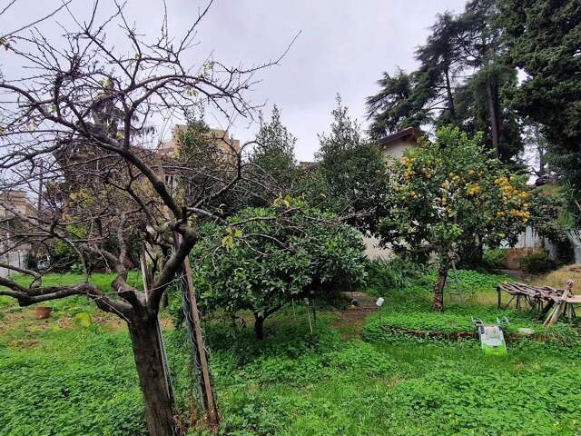 Nice sainte marguerite — photo du bien