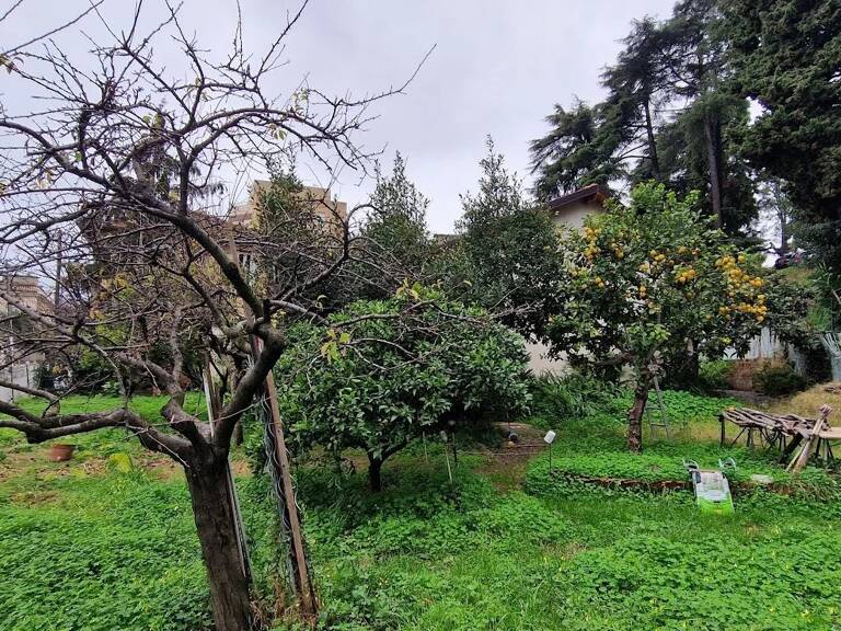Nice sainte marguerite — photo 1