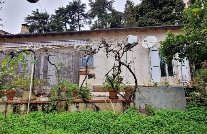 Nice sainte marguerite — photo 4