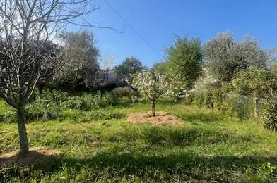Terrain  340000 €