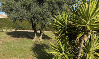 Photo N° 4