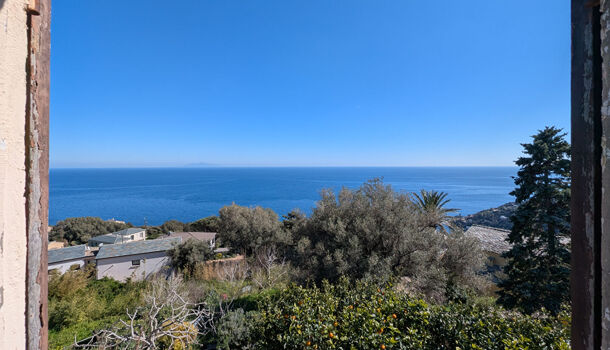 Appartement 2 pièces  à vendre Brando 20222