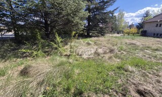 Photo N° 3