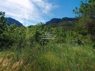 TERRAIN AGRICOLE — photo 2