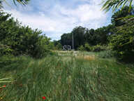 TERRAIN AGRICOLE — photo 3