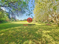 Propriété avec parc — photo 3