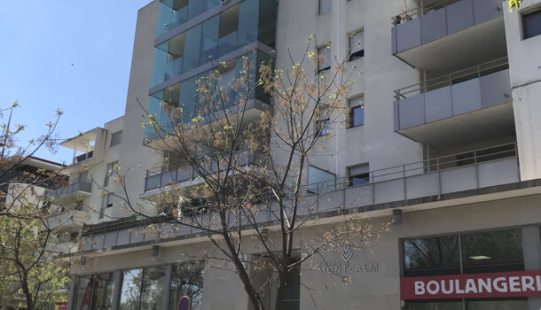 Appartement 1 pièces  à louer Montpellier 34070