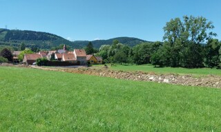 Photo N° 3