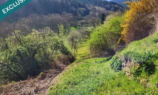 Photo N° 4