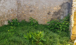 Photo N° 6