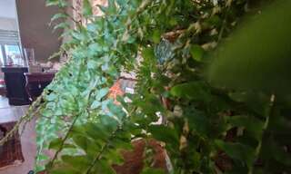 Commerce  115 m² à louer à Vannes (56000)