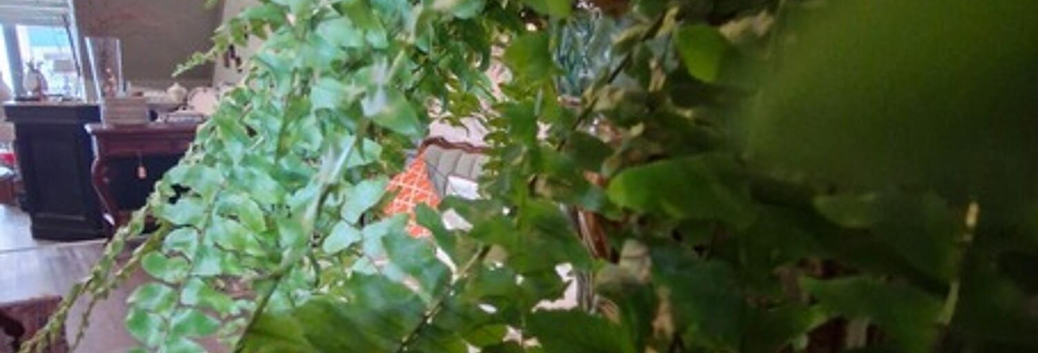 Commerce  115 m² à louer à Vannes (56000)