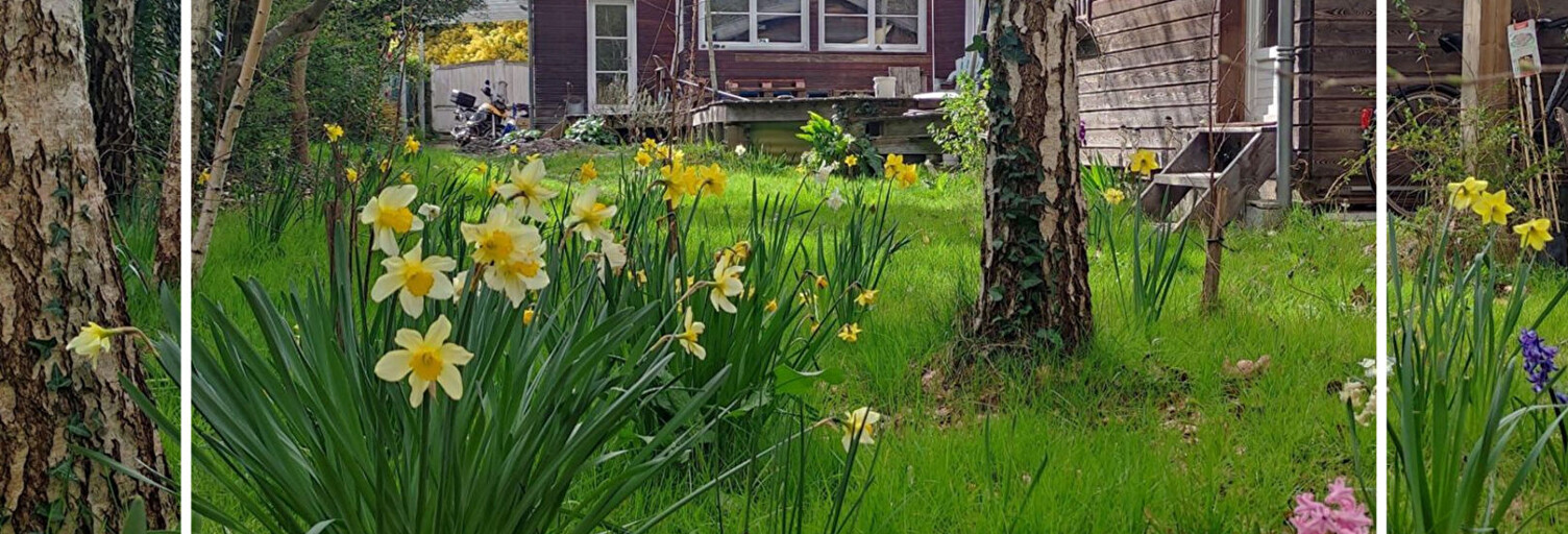 Maison 5 Pièces 142 m² à vendre à Pessac (33600)