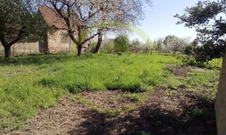 Photo N° 6