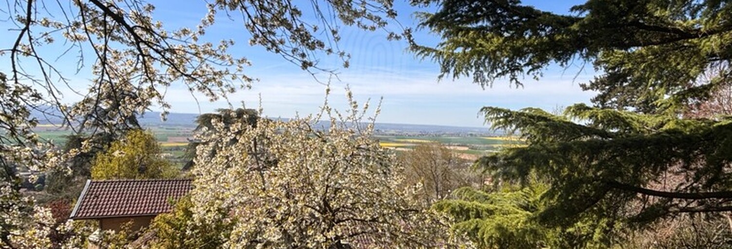 Maison 9 Pièces 380 m² à vendre à La Côte-Saint-André (38260)