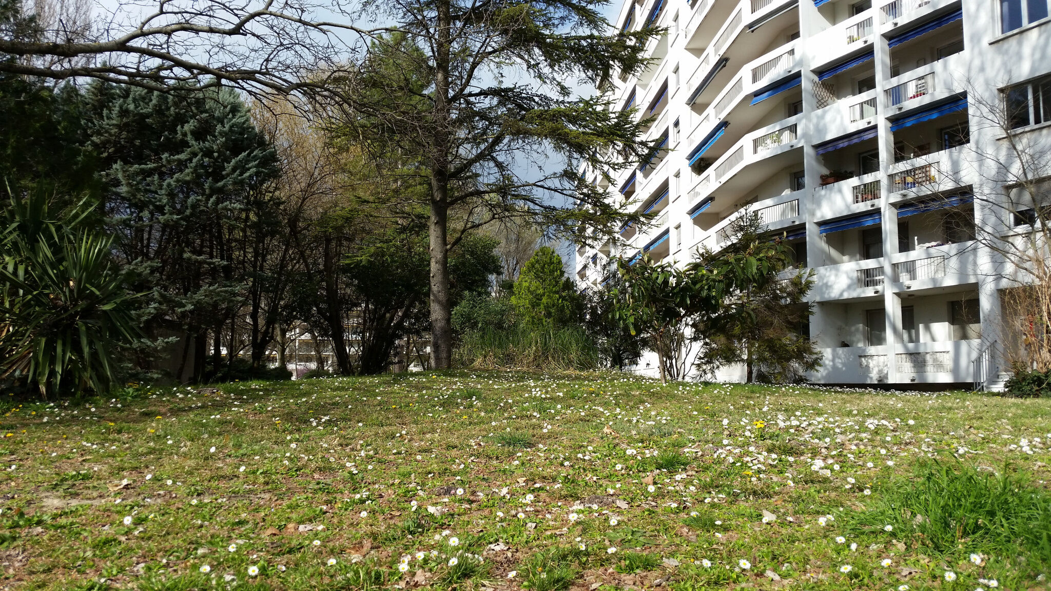 Appartement 4 pièces  à louer Montélimar 26200
