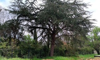 Photo N° 5