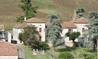 Photo N° 2