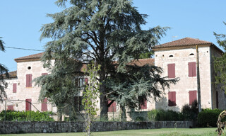 Photo N° 4