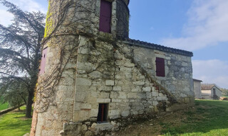 Photo N° 6