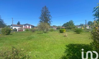 Photo N° 6
