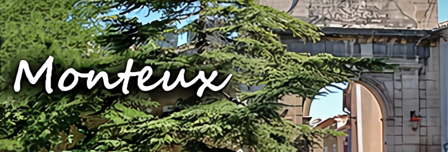 Immeuble  360 m² à vendre à Monteux (84170)