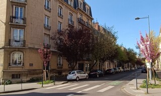 Photo N° 4
